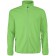 color:lime